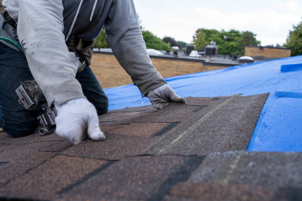 Best Roof Gutter Cleaning  in Narrows, VA