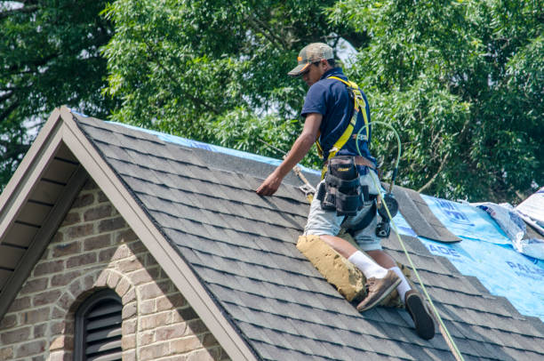 Best Storm Damage Roof Repair  in Narrows, VA